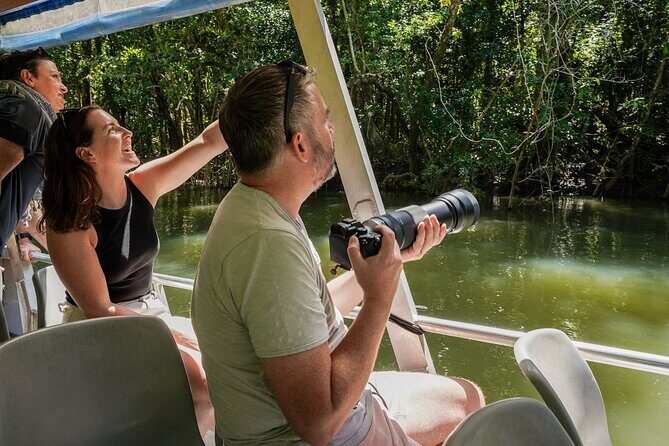 Port Douglas & Daintree Tour for Cruise Ship Passenger - Authentic Traveler Feedback