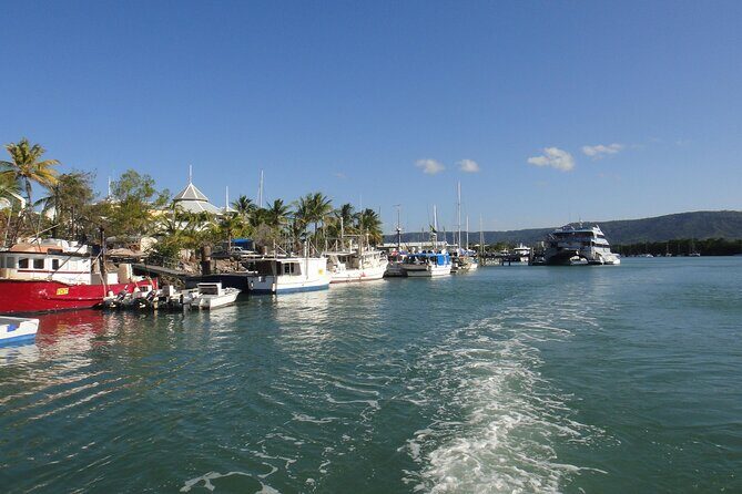 Port Douglas Day Tour from Cairns - An In-Depth Look at the Port Douglas Day Tour