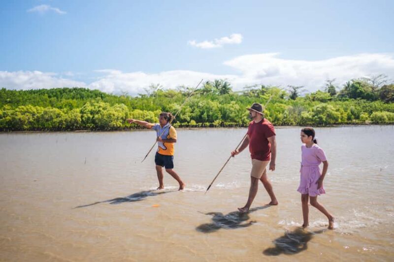 Port Douglas: Full Day Daintree Cultural Tour with Lunch - Discovering the Daintree with a Cultural Twist