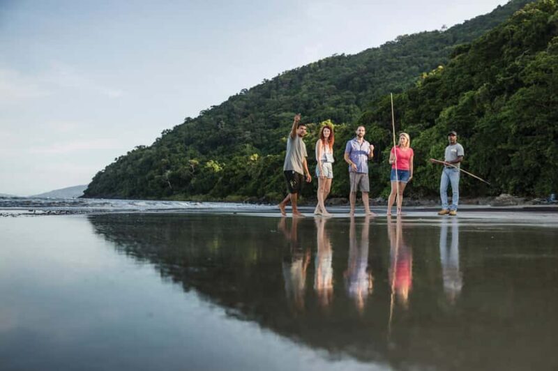 Port Douglas: Full Day Daintree Cultural Tour with Lunch - Scenic Walks and Natural Wonders