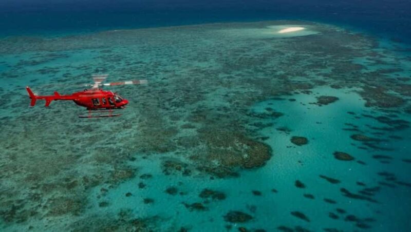 Port Douglas: Great Barrier Reef 45-Minute Helicopter Flight - Key Points