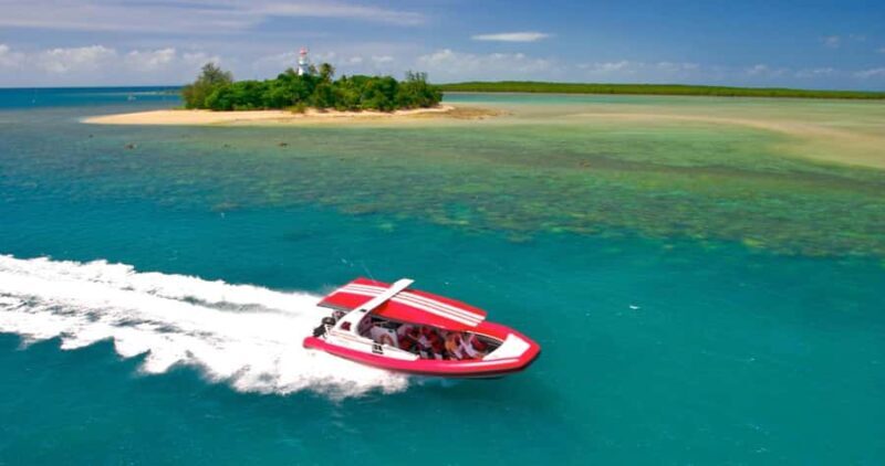 Port Douglas: Half-Day Low Island and Lagoon Snorkeling Tour - Key Points