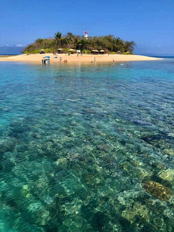 Port Douglas: Half-Day Low Island and Lagoon Snorkeling Tour - What the Reviews Say