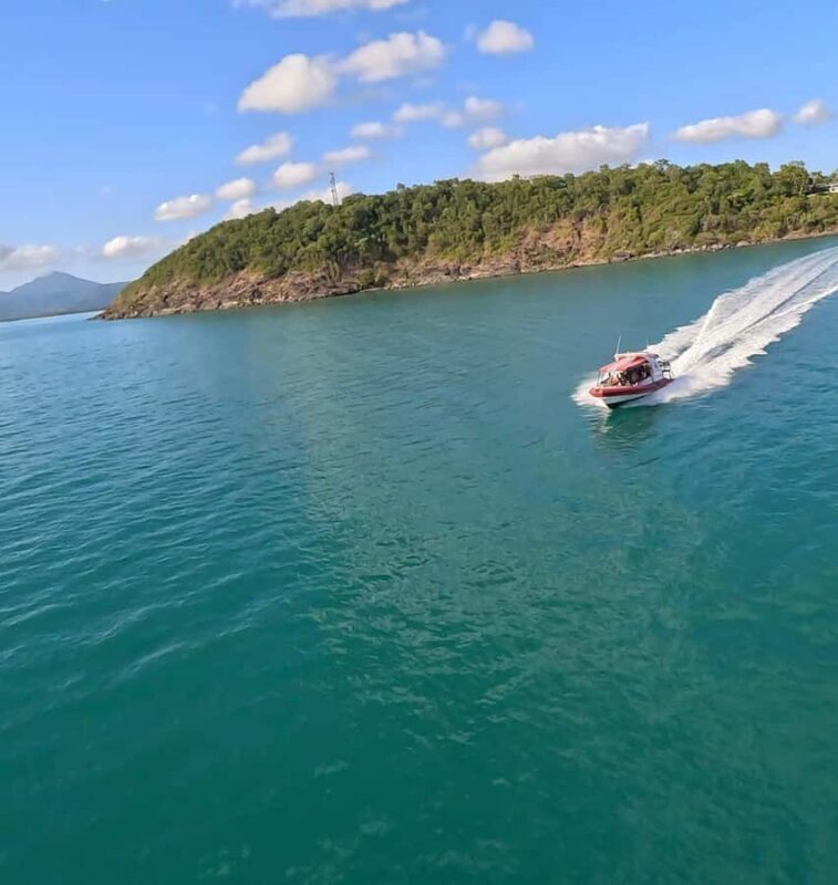 Port Douglas: Half Day Outer Reef Snorkelling Tour - Authentic Reviews and Insights