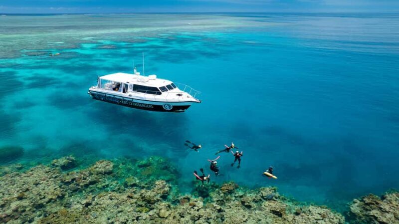 Port Douglas: Just 12 Passengers Guided Snorkel Reef Cruise - The Itinerary in Detail: What to Expect