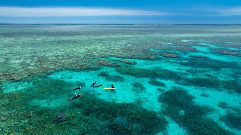 Port Douglas: Just 12 Passengers Guided Snorkel Reef Cruise - Why This Tour Stands Out