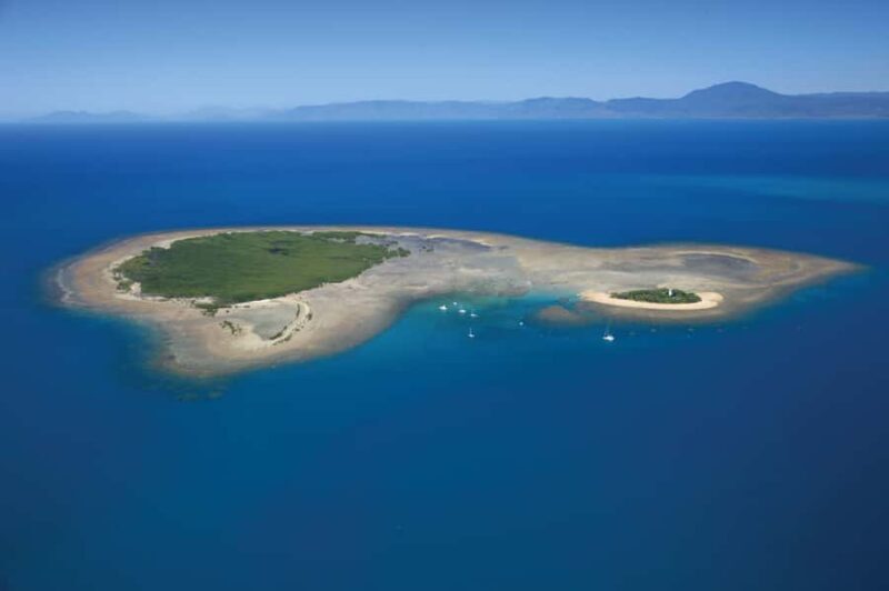 Port Douglas: Low Isles Afternoon Cruise on Luxury Catamaran - Key Points