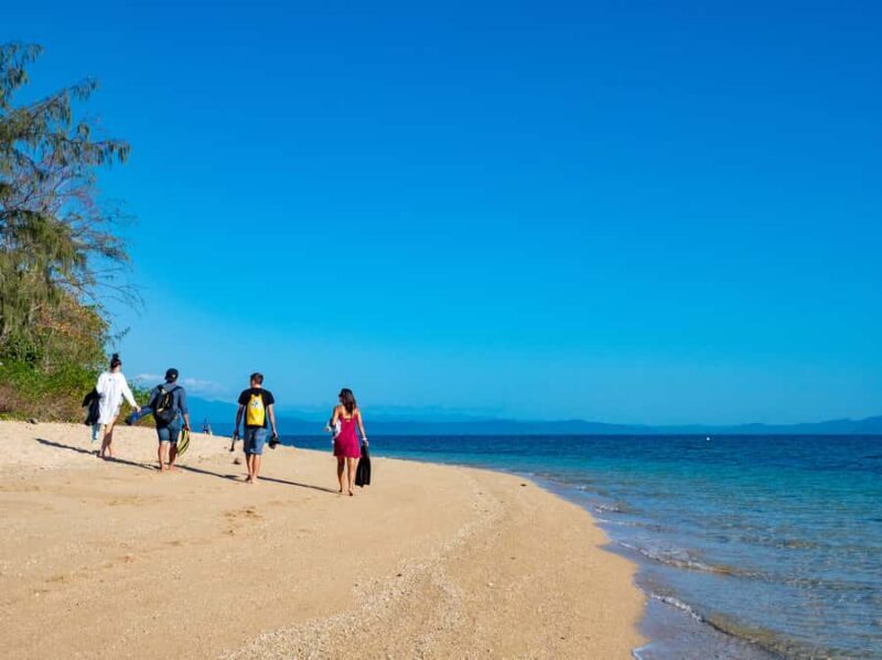 Port Douglas: Low Isles Glass Bottom Boat & Snorkeling Tour - Overview of the Experience