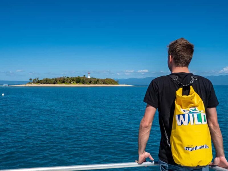 Port Douglas: Low Isles Glass Bottom Boat & Snorkeling Tour - Who Will Love It?
