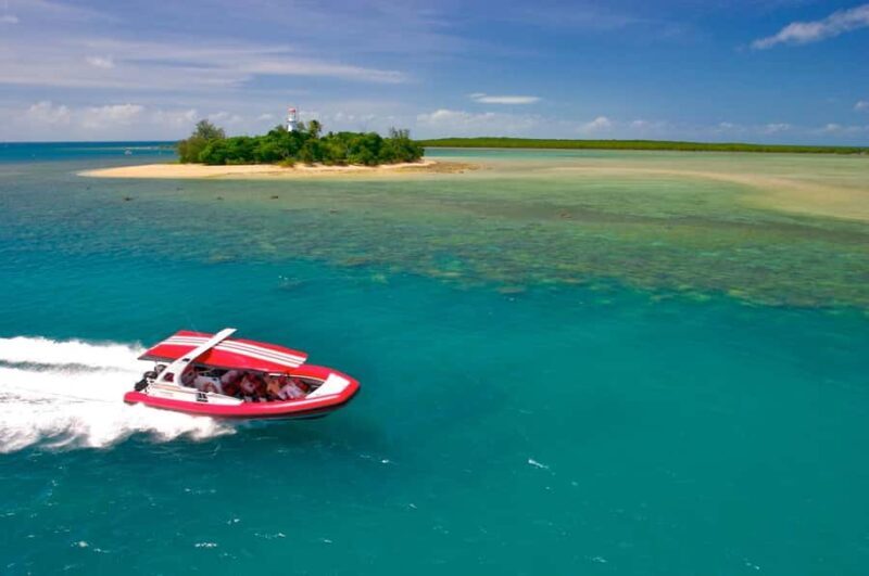 Port Douglas: Low Isles Reef Snorkeling Tour - A Closer Look at the Experience