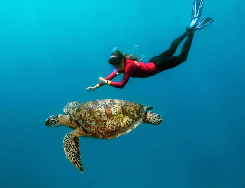 Port Douglas: Outer Barrier Reef Cruise & 10 Min Helicopter - An In-Depth Look at the Port Douglas Reef & Helicopter Tour