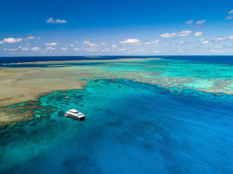 Port Douglas: Outer Barrier Reef Snorkel and Dive Options - Authentic Experiences & Guest Feedback