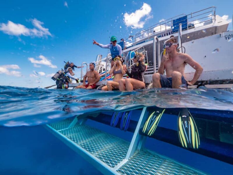 Port Douglas: Outer Barrier Reef Snorkel and Dive Options - Final Thoughts