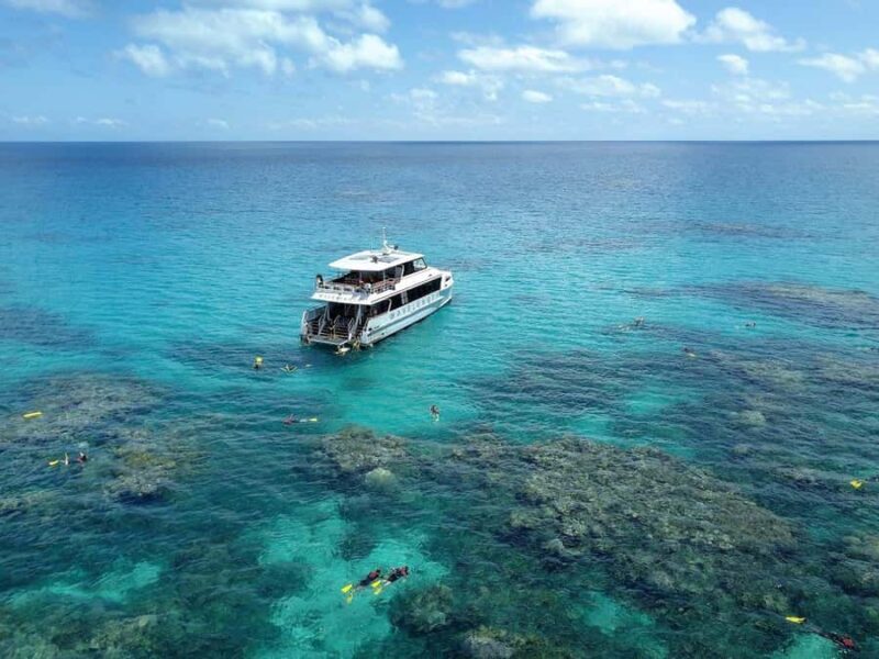 Port Douglas: Outer Great Barrier Reef Snorkeling Cruise - An Overview of the Outer Reef Snorkeling Experience