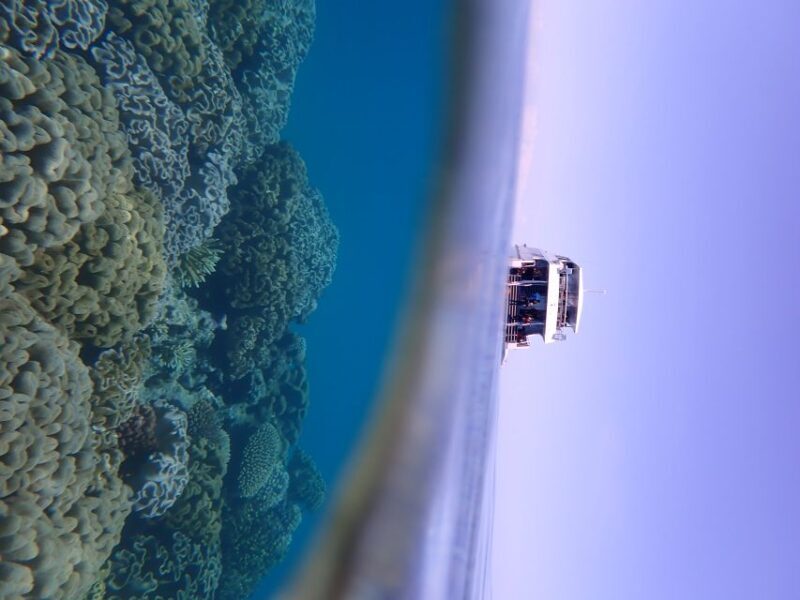 Port Douglas: Outer Great Barrier Reef Snorkeling Cruise - Second Site: Guided Snorkel Tours and Uncovering Hidden Treasures