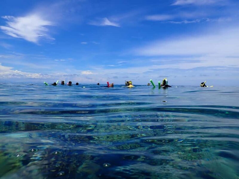 Port Douglas: Outer Great Barrier Reef Snorkeling Cruise - Reef Talk: Education and Engagement During Lunch