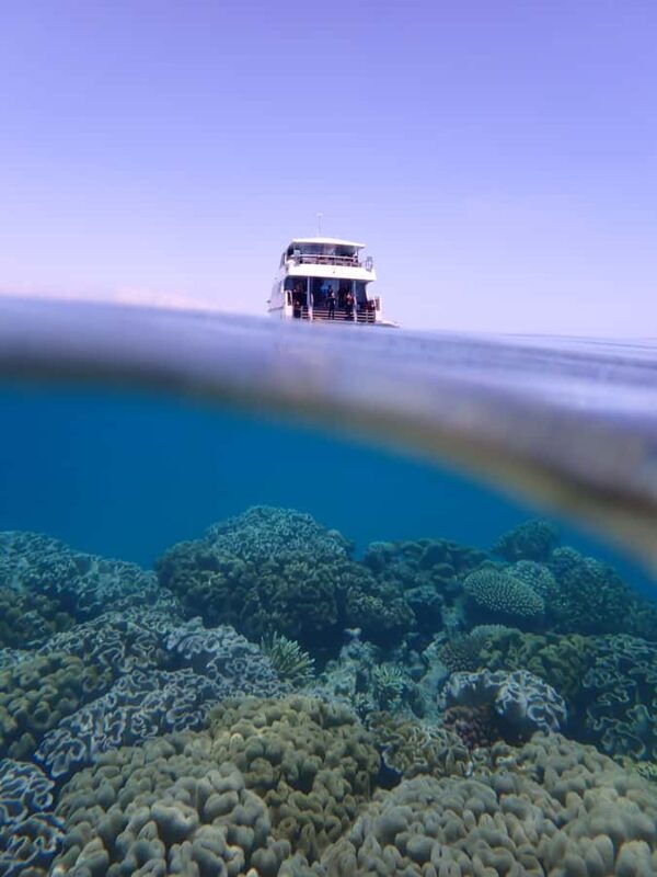 Port Douglas: Outer Great Barrier Reef Snorkeling Cruise - FAQ