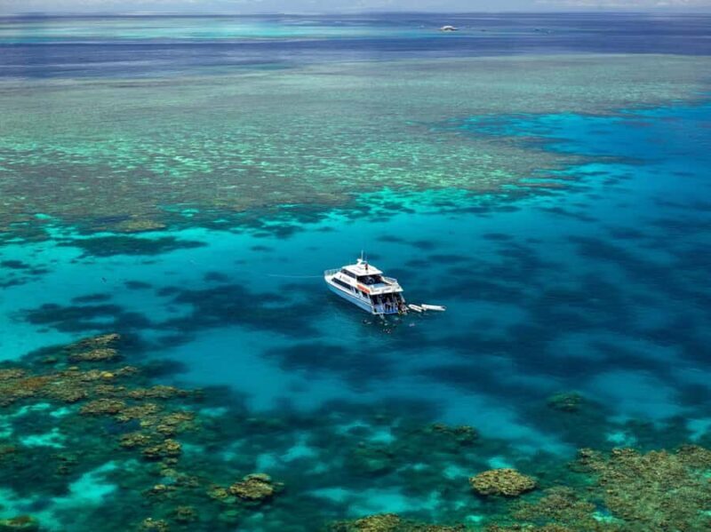 Port Douglas: Poseidon Outer Barrier Reef Dive and Snorkel - The Value of a Well-Designed Reef Tour