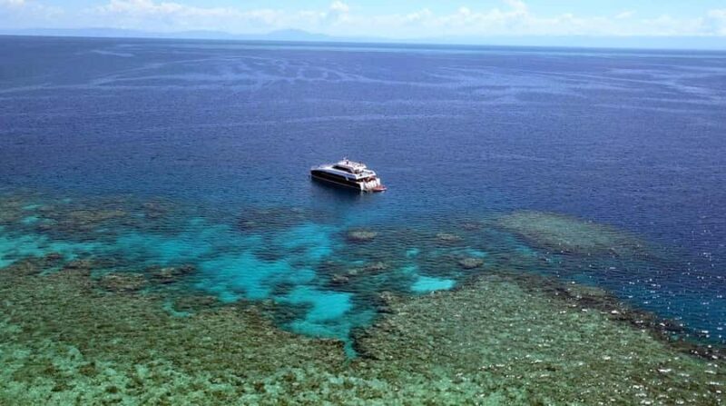 Port Douglas: Premium Outer Reef Dive Trip - How This Trip Stands Out