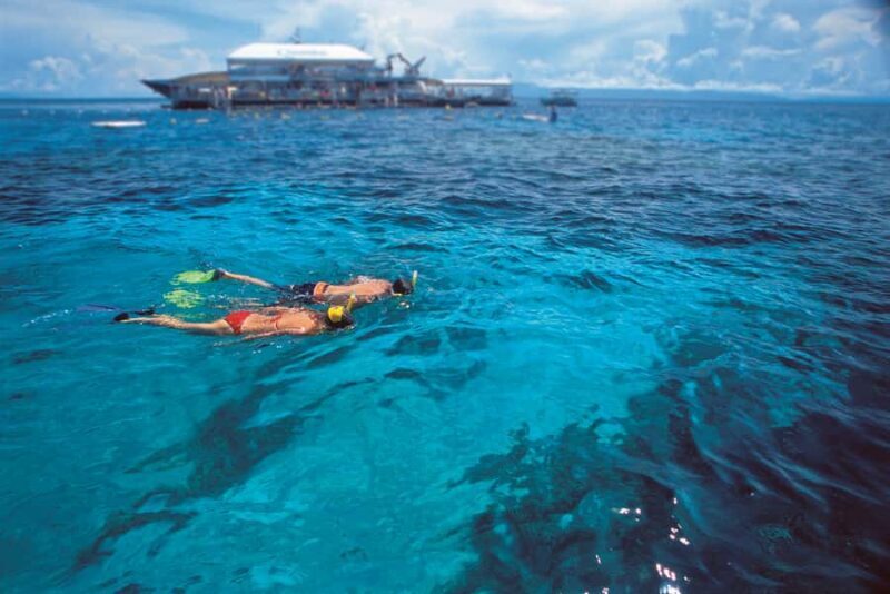 Port Douglas: Quicksilver Outer Barrier Reef Full-Day Cruise - The Experience for Different Travelers