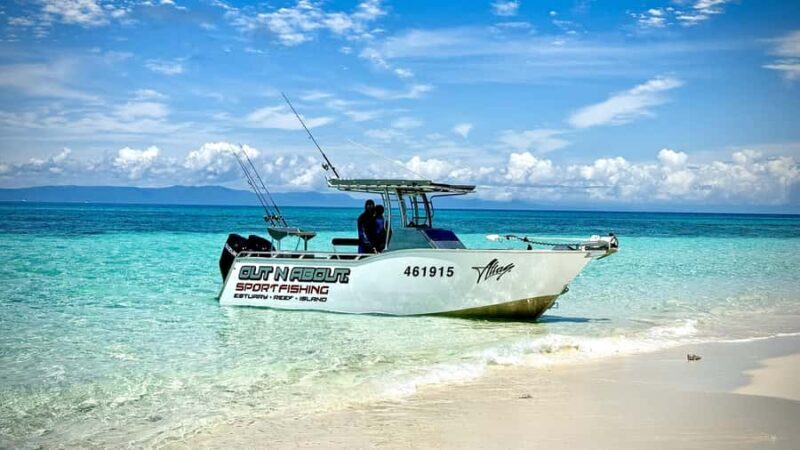 Port Douglas: Reef & Estuary Sportfishing Charters - A Real-World Perspective
