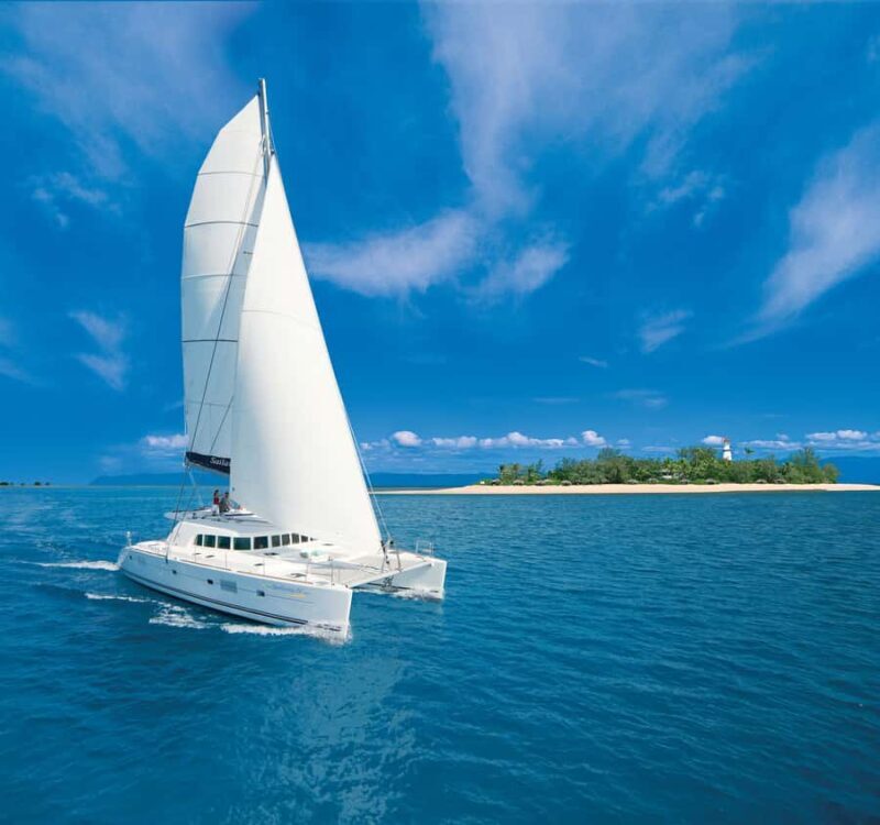 Port Douglas: Reef & Low Isles Cruise on Luxury Catamaran - Key Points