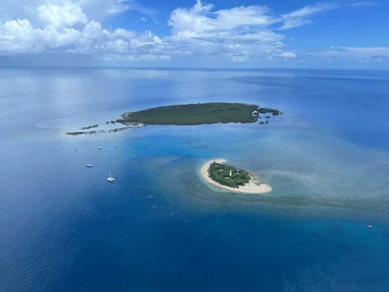 Port Douglas: Reef & Low Isles Cruise on Luxury Catamaran - The Return Journey and Overall Comfort