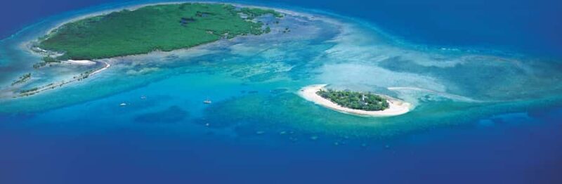 Port Douglas: Reef & Low Isles Cruise on Luxury Catamaran - Who Will Love This Tour?
