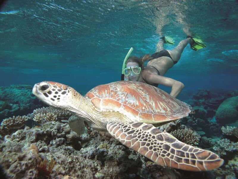 Port Douglas: Reef & Low Isles Cruise on Luxury Catamaran - FAQs