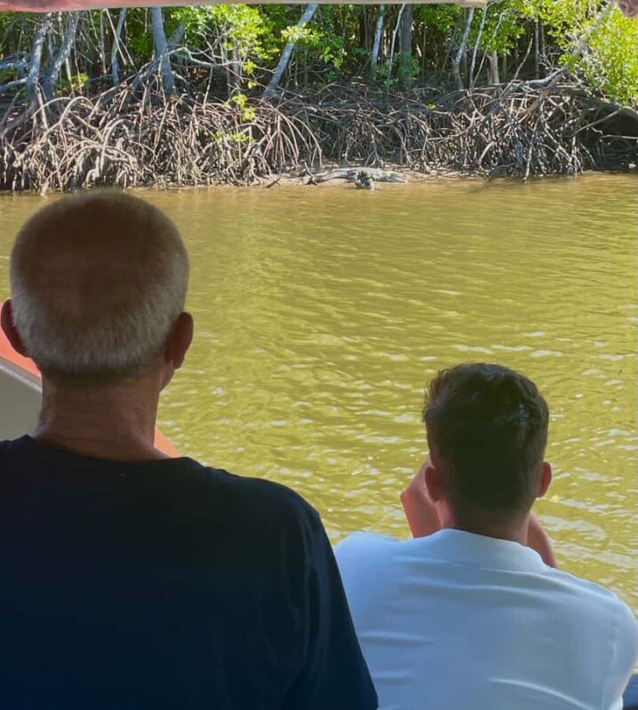 Port Douglas: River Cruise, Crocodile Spotting, Drink/ Snack - Accessibility and Practicalities