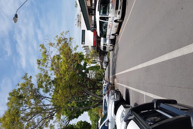 Port Douglas Sunday Markets Day Tour - The Value and Cost