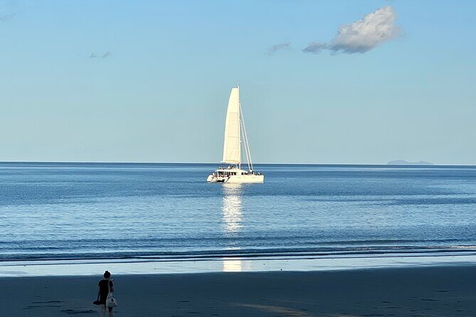 Port Douglas To Cairns Airport Shared Shuttle - Why Choose the Port Douglas to Cairns Airport Shared Shuttle?