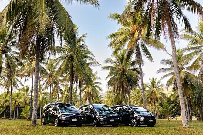Port Douglas to Palm Cove ONE WAY Private Transfer 6 Pax - Exploring the Port Douglas to Palm Cove Private Transfer: A Practical Guide