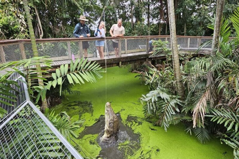 Port Douglas: Wildlife Habitat Croc Feed Experience & Entry - What the Croc Feed Experience Offers