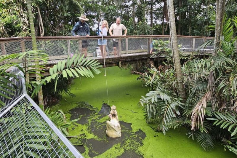 Port Douglas: Wildlife Habitat Croc Feed Experience & Entry - The Value of This Experience