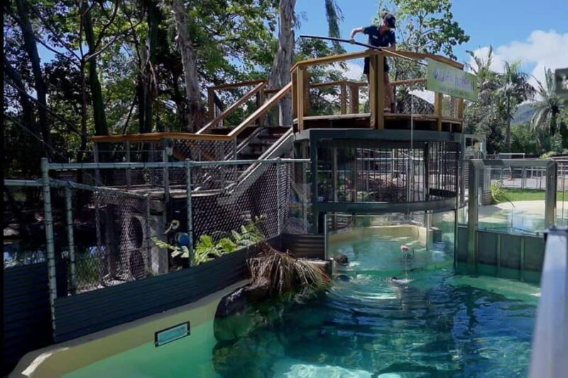 Port Douglas: Wildlife Habitat Swim with Crocodiles - An In-Depth Look at the Croc Swim Experience
