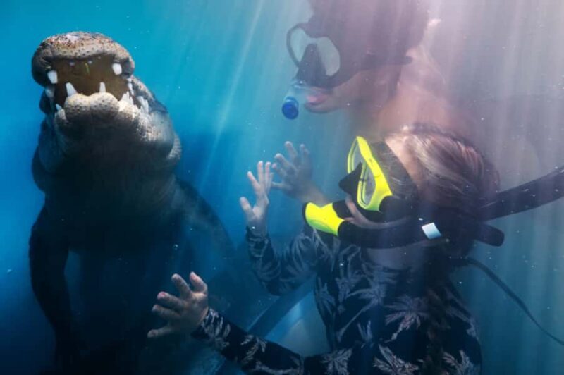 Port Douglas: Wildlife Habitat Swim with Crocodiles - A Final Word
