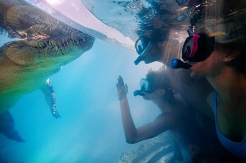 Port Douglas: Wildlife Habitat Swim with Crocodiles - FAQ