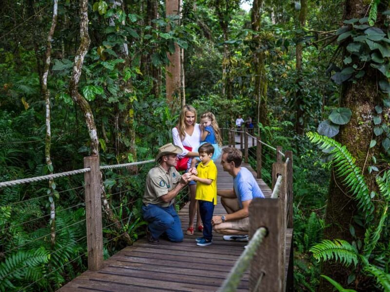 Port Douglas: World Heritage Forest by Skyrail & Scenic Rail - Starting the Day: Pickup and Transport