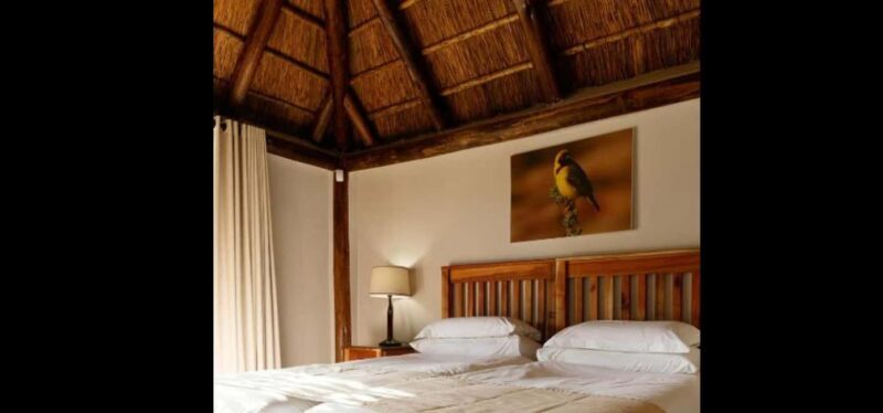 Port Elizabeth: 3-Day Addo Elephant National Park Safari - Why This Tour Offers Good Value
