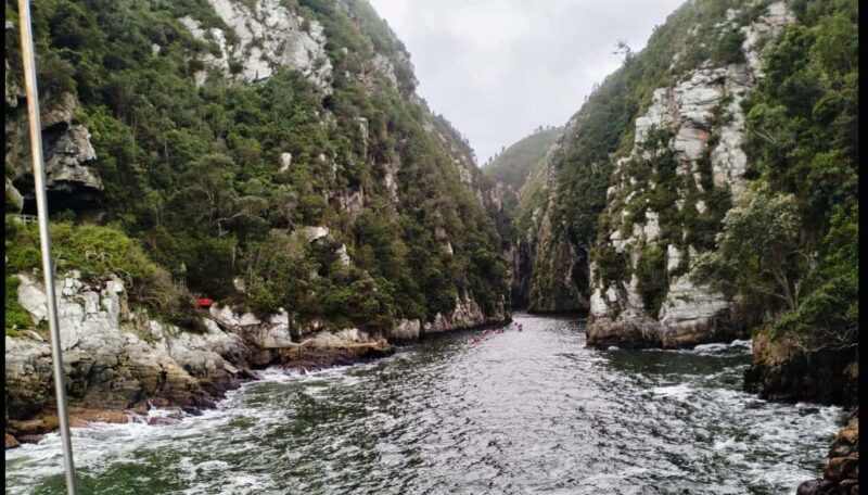 Port Elizabeth: 3-Day Garden Route via Addo Elephant Park - Key Points