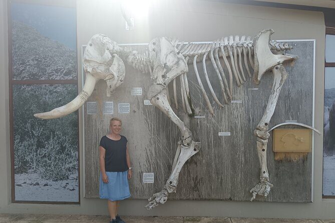 Port Elizabeth Addo Elephant National Park All Inclusive Safari - South Section Game Drive