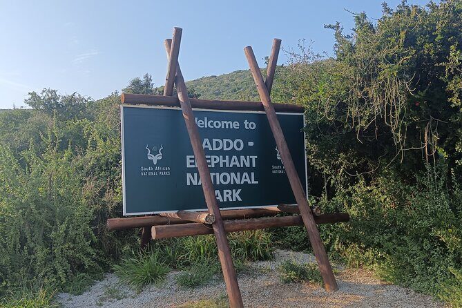 Port Elizabeth Addo Elephant National Park All Inclusive Safari - Lunch and Rest at Main Camp