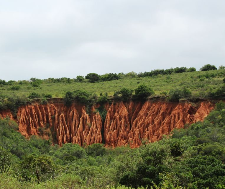 Port Elizabeth: Addo Elephant Park Shore Excursion with BBQ - Who Will Love This Tour?