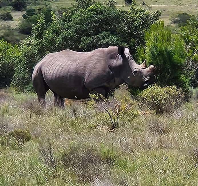 Port Elizabeth: Double Safari and city tour - Who Is This Tour Best For?