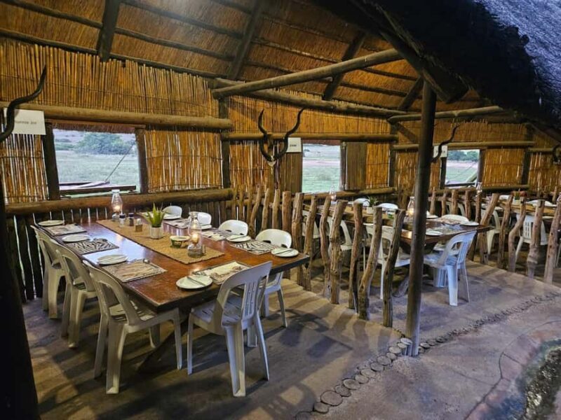 Port Elizabeth: Schotia Open Safari Vehicle Game Drive - Key Points