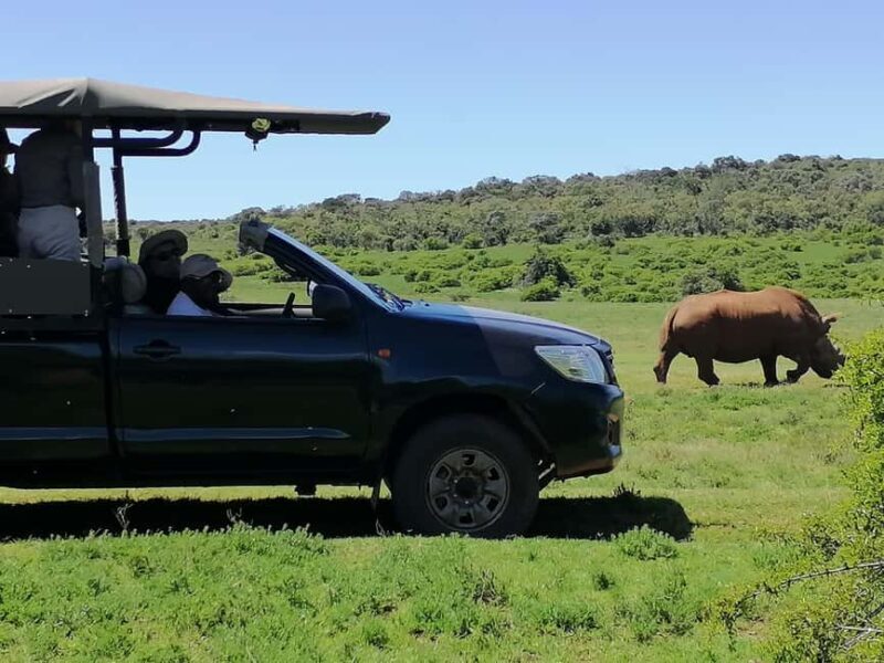Port Elizabeth: Schotia Private Game Reserve Safari - Frequently Asked Questions