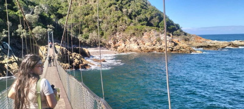 Port Elizabeth: Tsitsikama National Park full-day - Discovering Tsitsikamma: A Nature Lover’s Dream