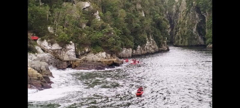 Port Elizabeth: Tsitsikama National Park full-day - Who Will Love This Tour?