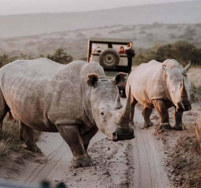 Port Elizabeth:Kragga Kamma Private game reserve safari - Timing and Group Size